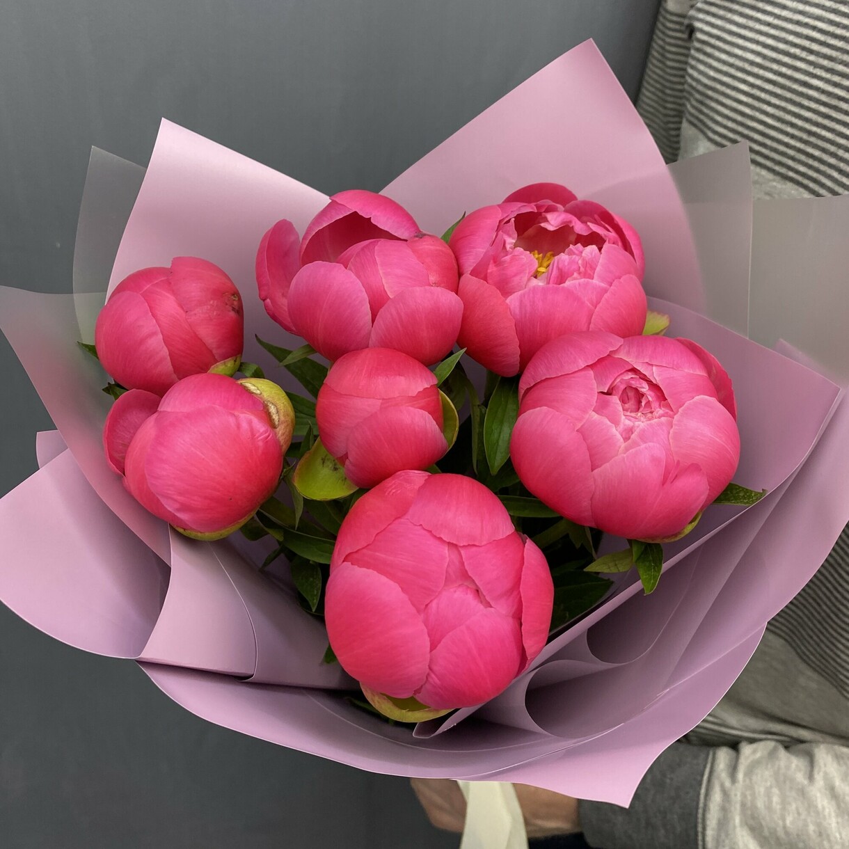 Букет з 7 півонів «Корал Шарм»