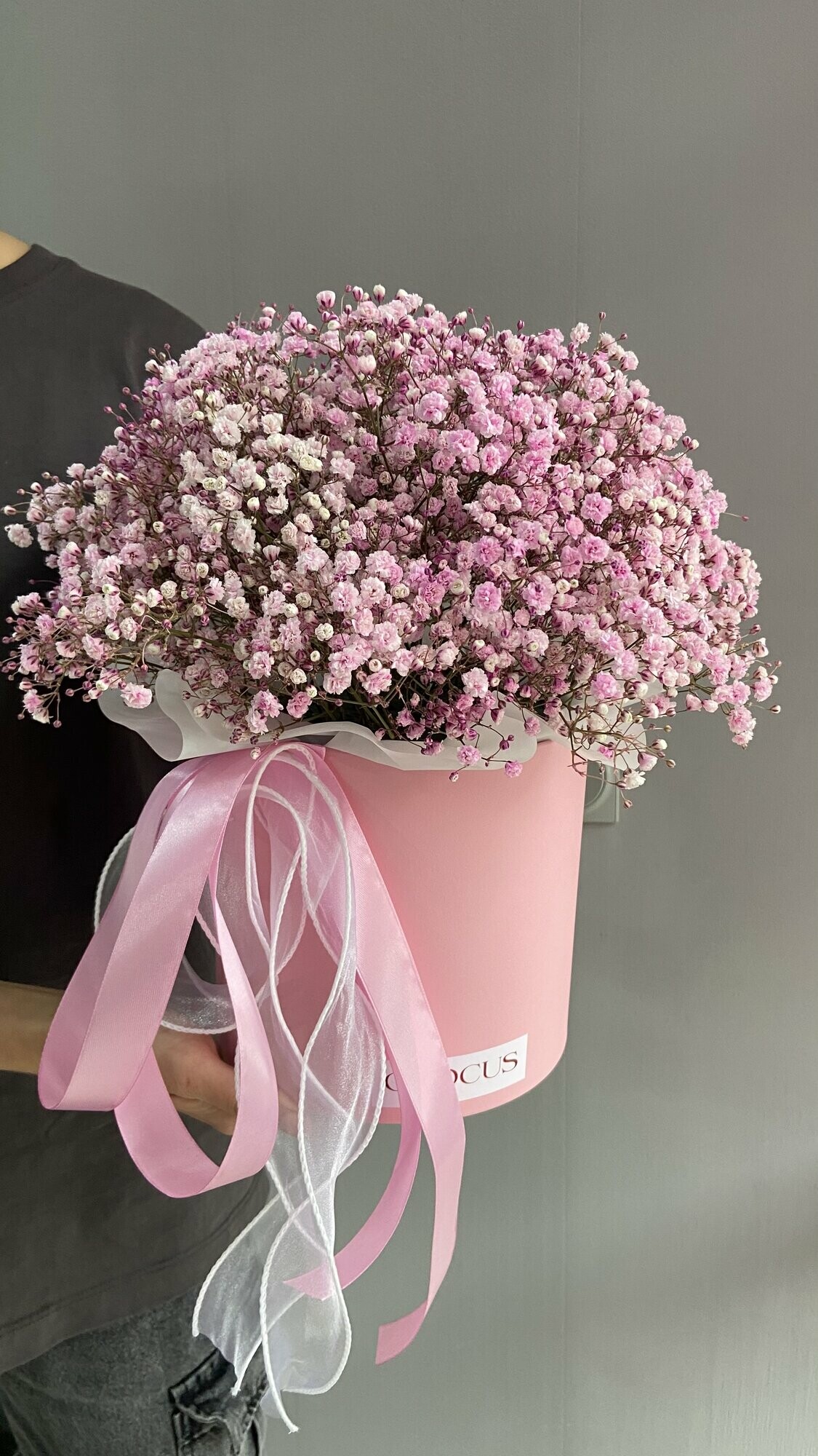 Гіпсофіла в коробці розмір М