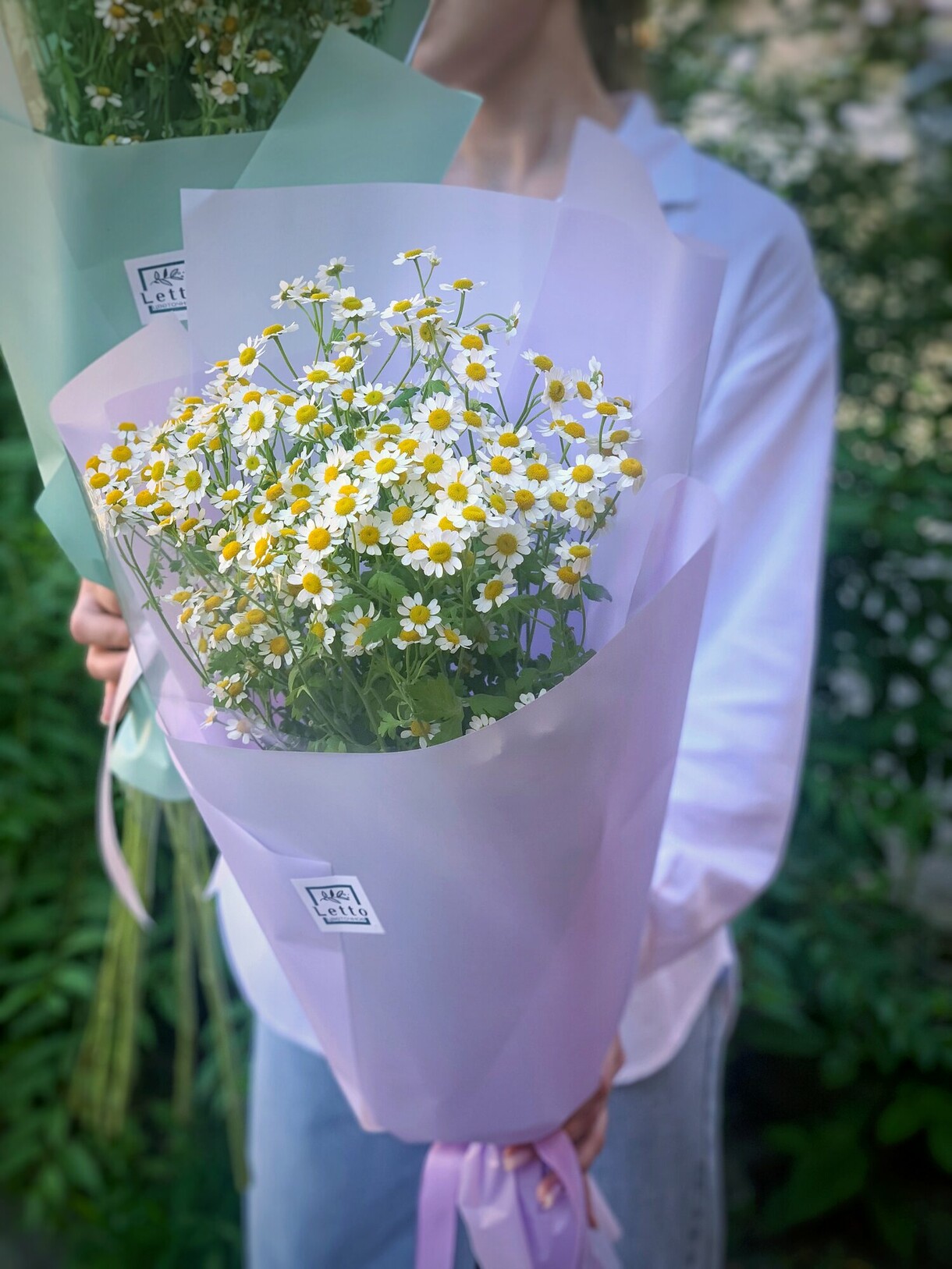 Кущова ромашка