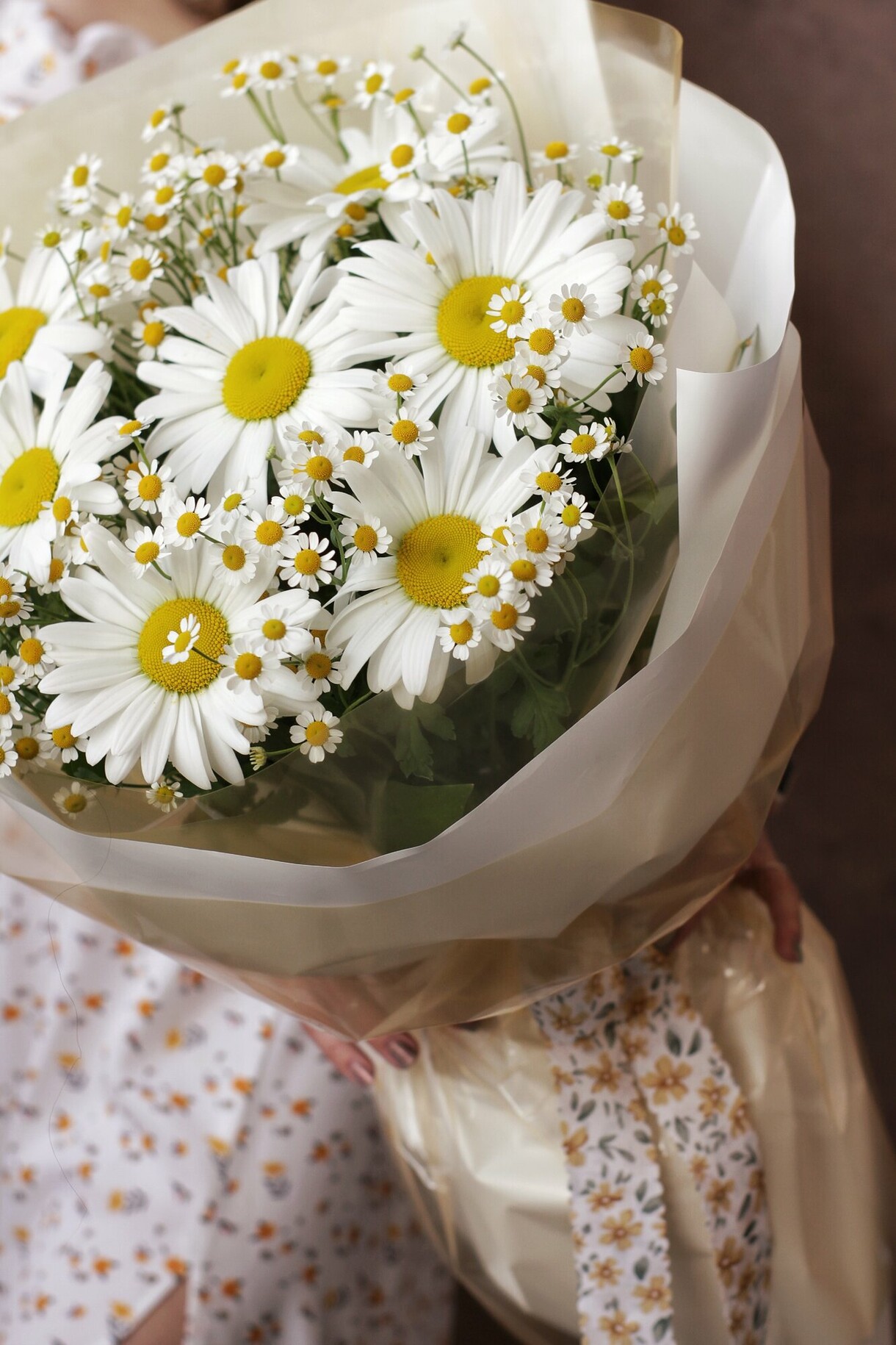 Літо, ромашки та кохання