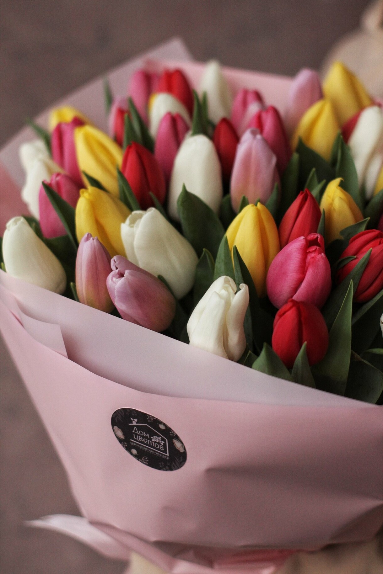 Микс тюльпанов 51 шт